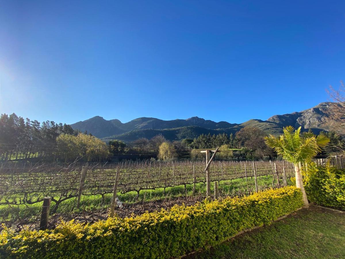 Olive And Vine Farm Cottage Franschhoek Ngoại thất bức ảnh