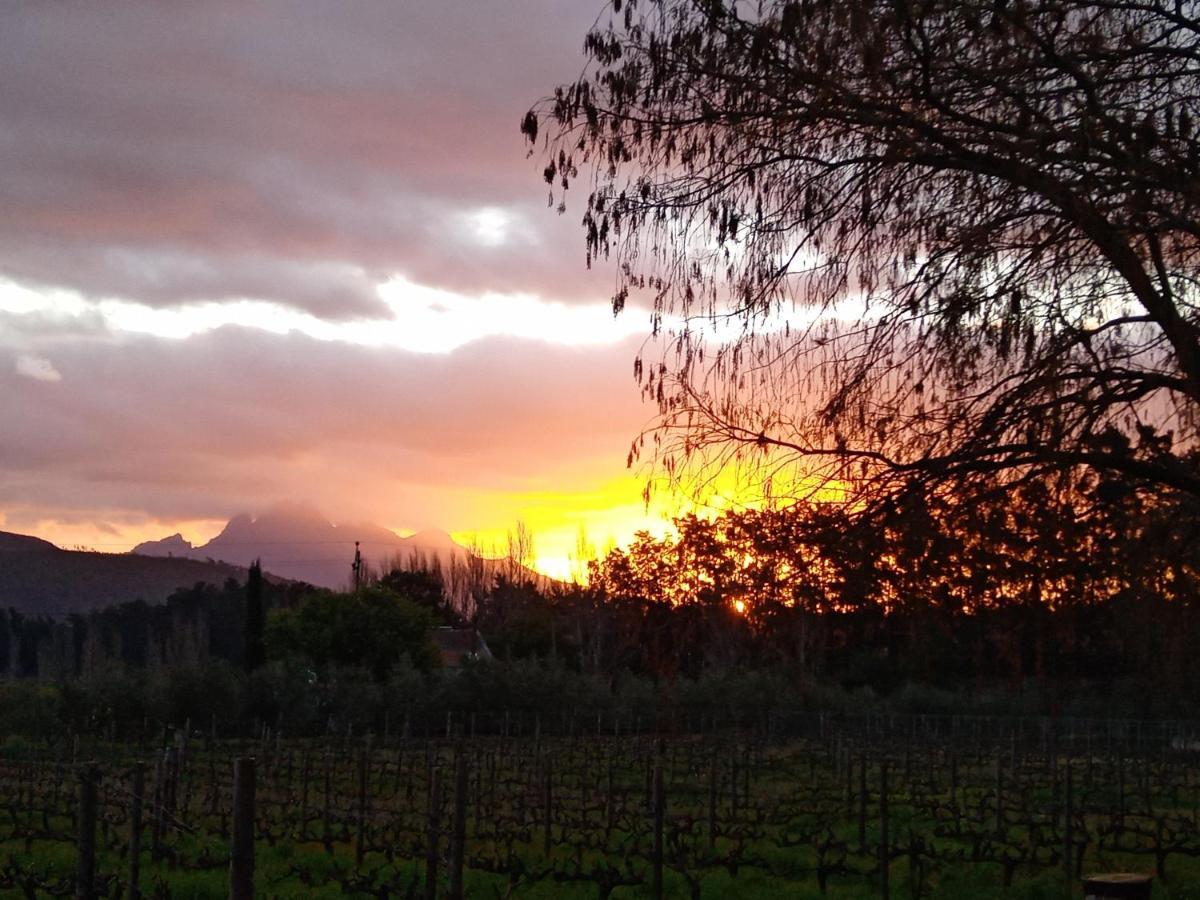 Olive And Vine Farm Cottage Franschhoek Ngoại thất bức ảnh