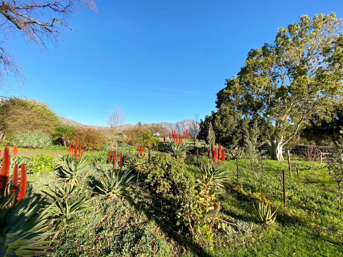 Olive And Vine Farm Cottage Franschhoek Ngoại thất bức ảnh