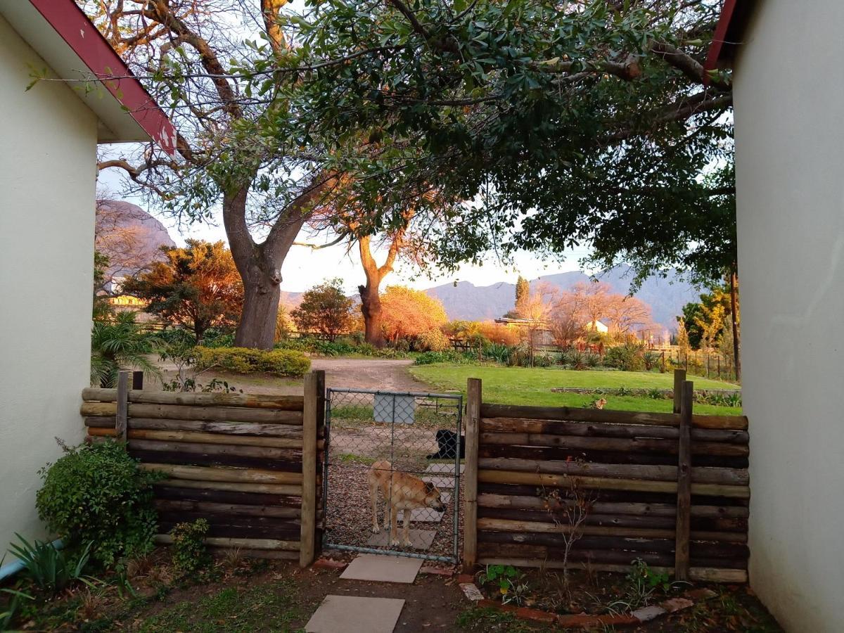 Olive And Vine Farm Cottage Franschhoek Ngoại thất bức ảnh