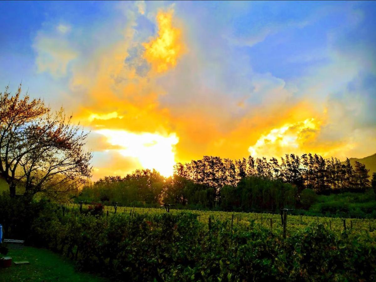 Olive And Vine Farm Cottage Franschhoek Ngoại thất bức ảnh