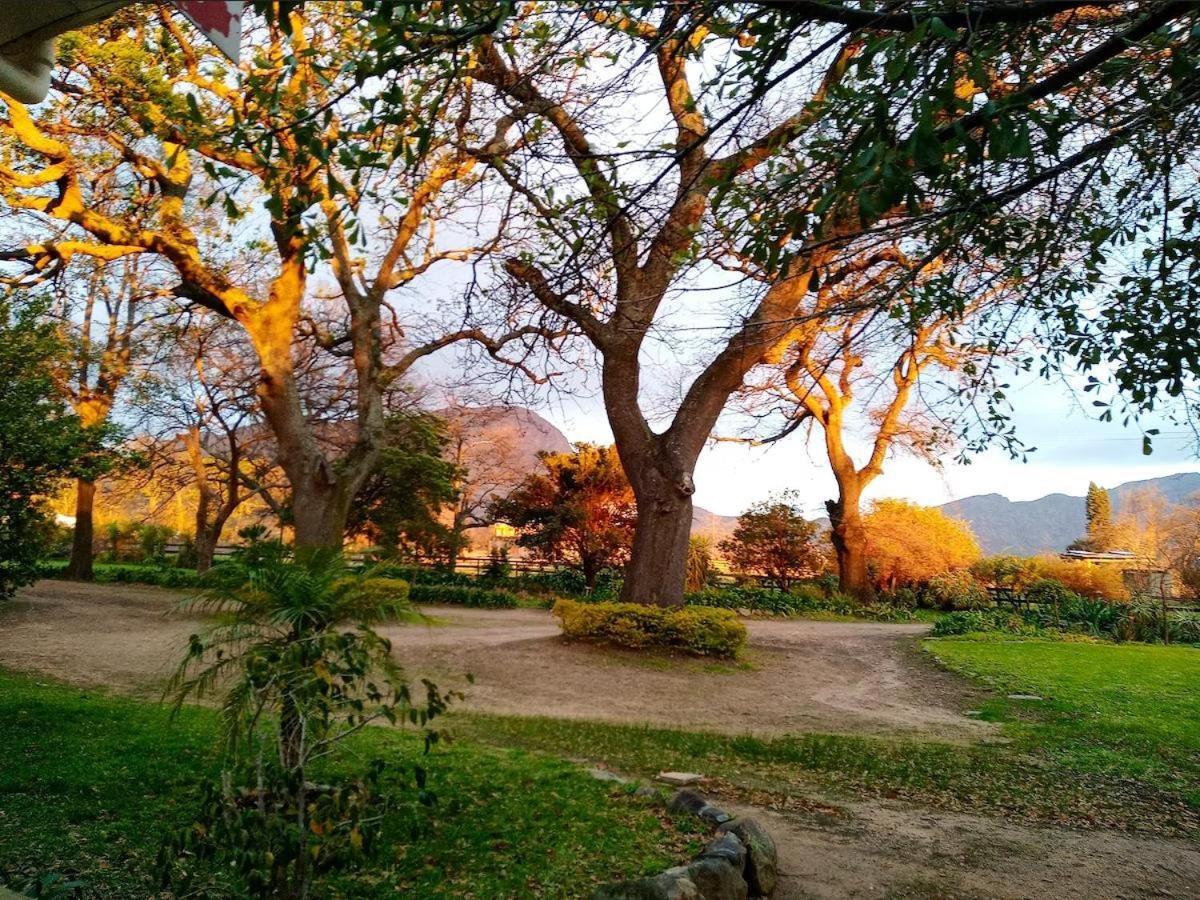 Olive And Vine Farm Cottage Franschhoek Ngoại thất bức ảnh