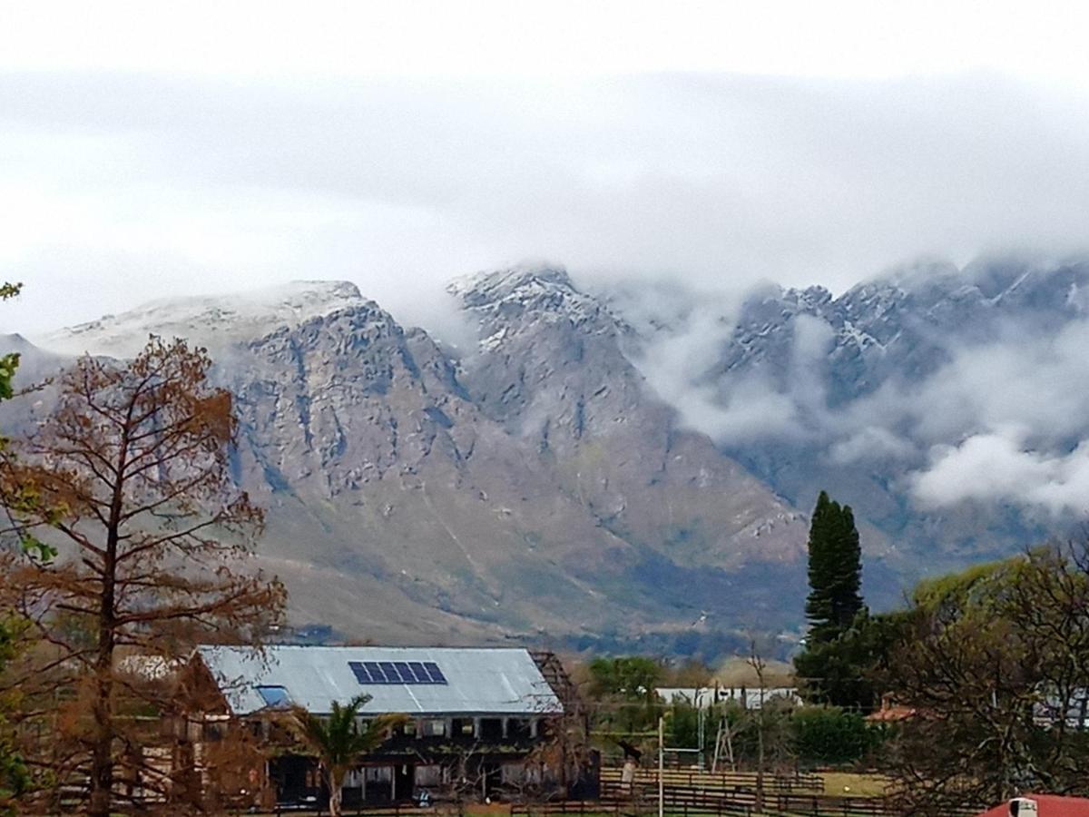 Olive And Vine Farm Cottage Franschhoek Ngoại thất bức ảnh