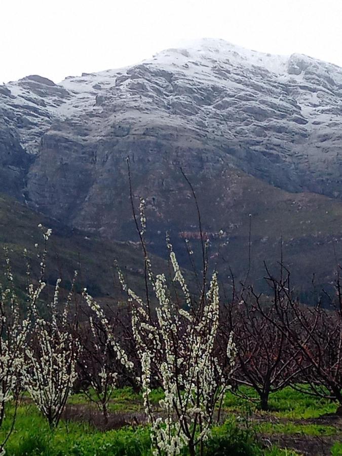 Olive And Vine Farm Cottage Franschhoek Ngoại thất bức ảnh