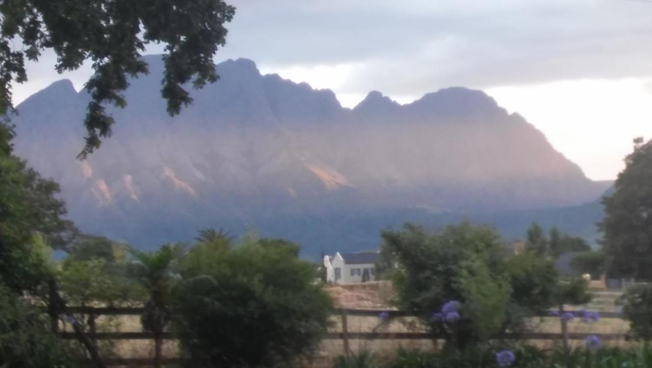 Olive And Vine Farm Cottage Franschhoek Ngoại thất bức ảnh