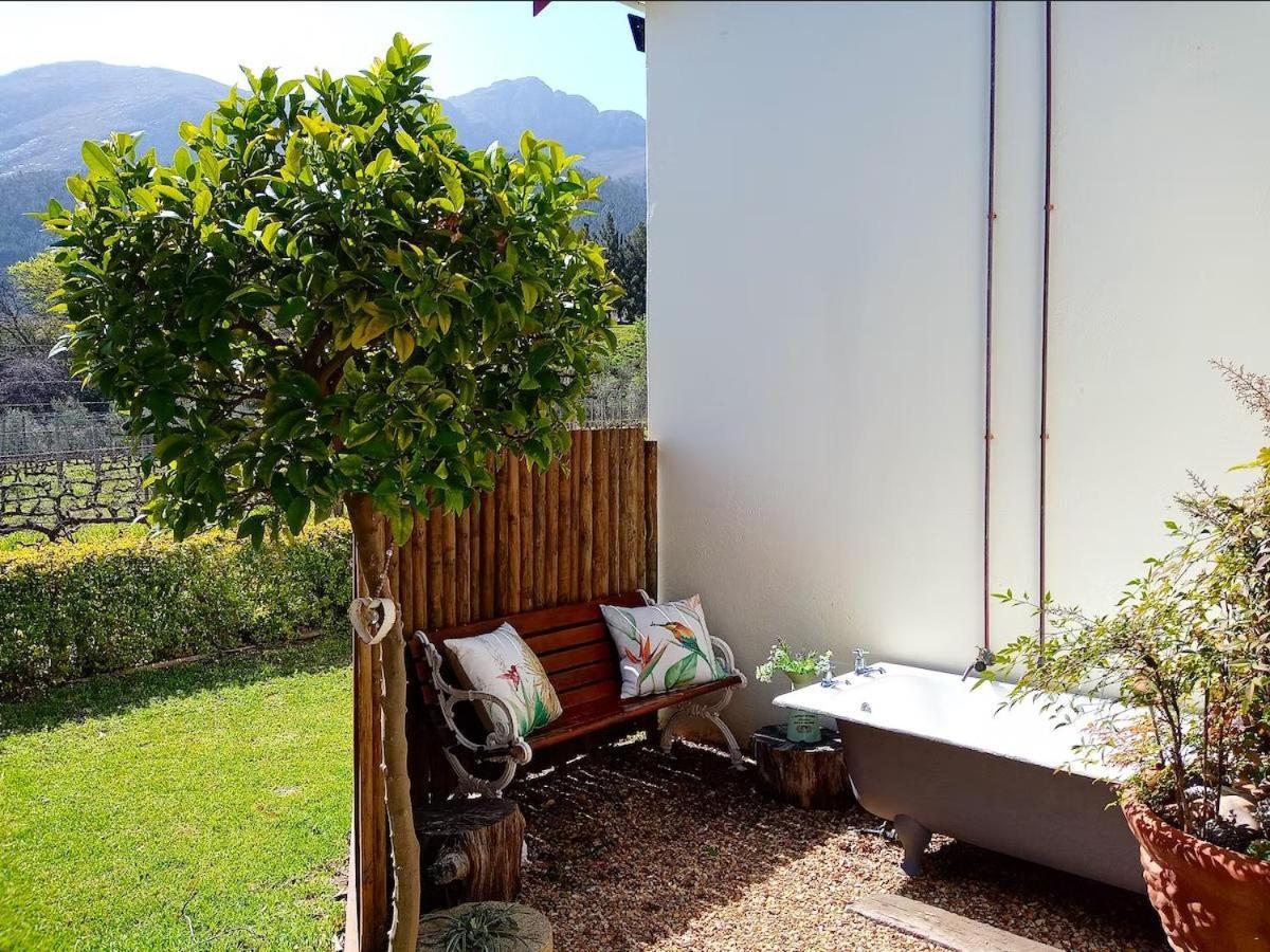 Olive And Vine Farm Cottage Franschhoek Phòng bức ảnh