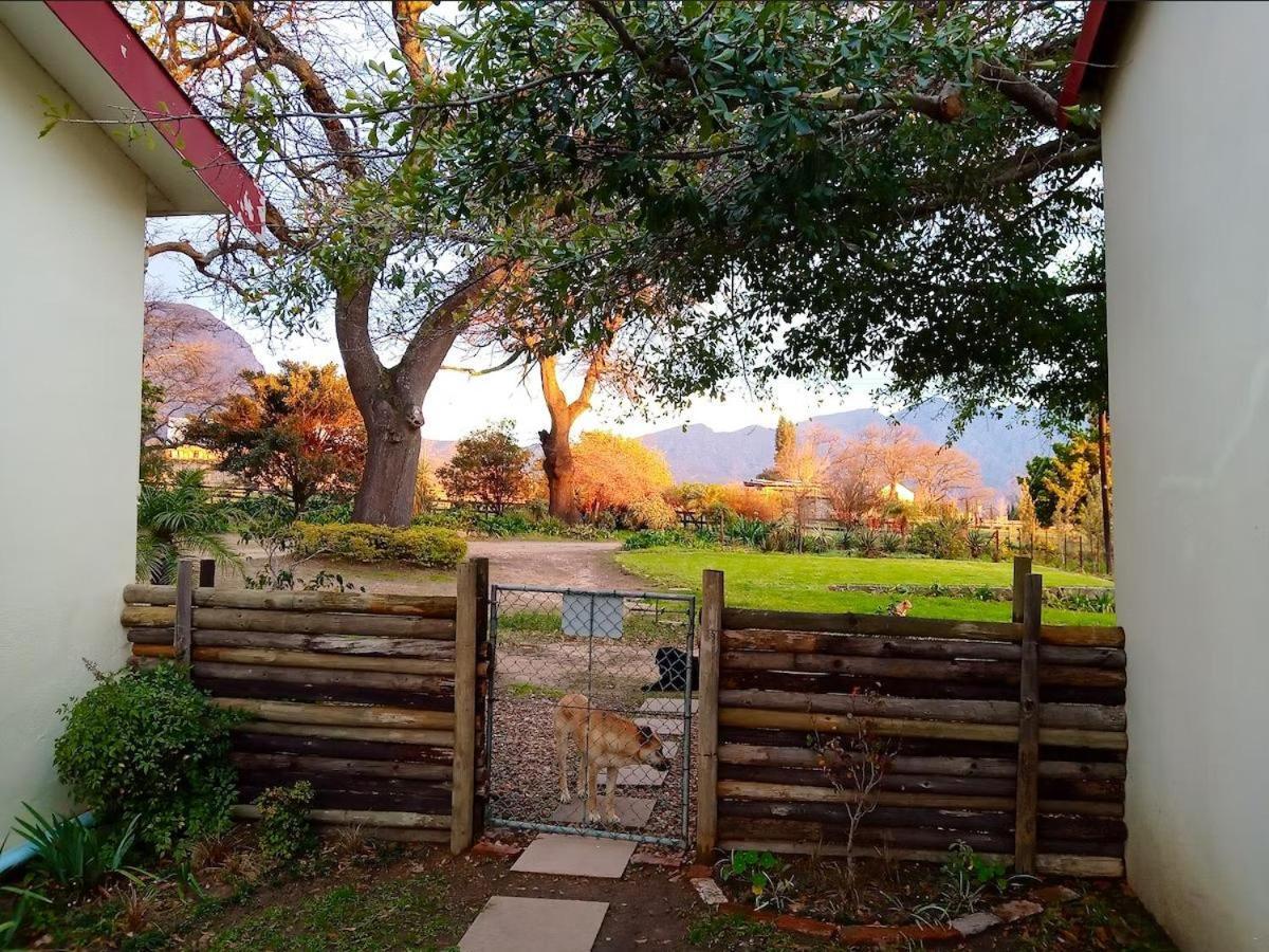 Olive And Vine Farm Cottage Franschhoek Phòng bức ảnh